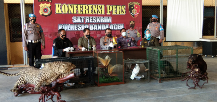 Polisi Sita Satwa Liar yang Diawetkan dari Bandar Narkoba