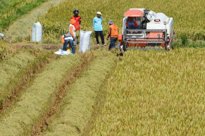 Jaga Lahan dari Kerugian, Petani Diimbau Manfaatkan Asuransi