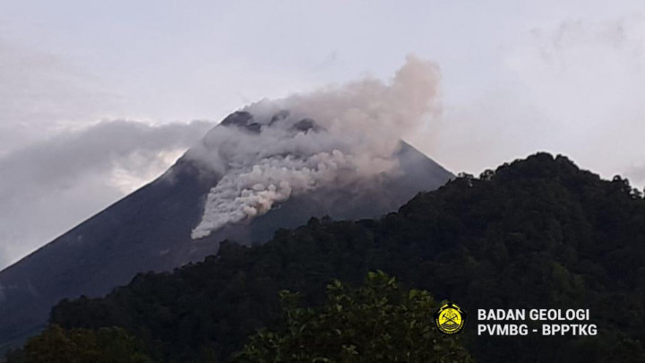 Gunung Merapi Muntahkan Lava Pijar 42 Kali dalam 24 Jam