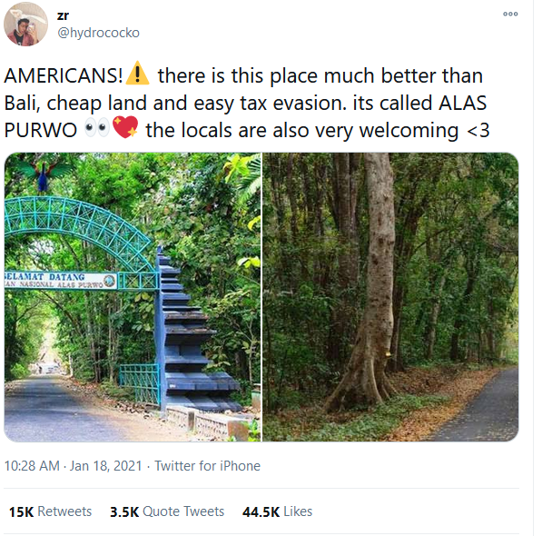 Overstay dan Tidak Bayar Pajak di Bali, Netizen Sarankan Kristen Gray ke Alas Purwo