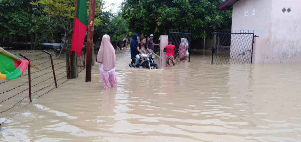2.400 Rumah di Pidie Terdampak Banjir - Medcom.id
