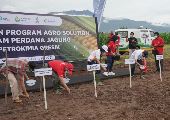 Dukung Produktivitas Petani, Petrokimia Gresik Luncurkan Program Agro Solution