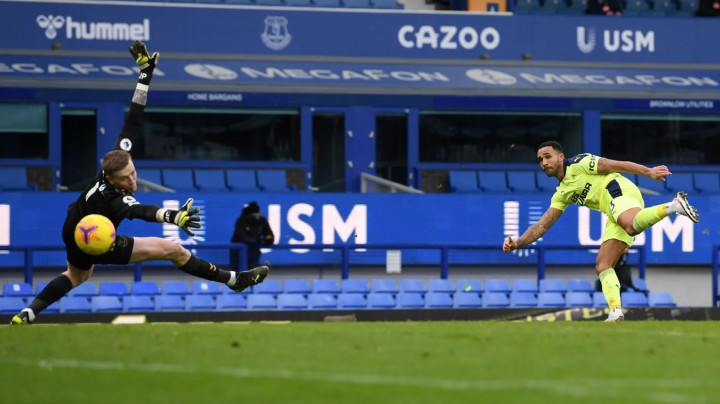 Everton vs Newcastle: Brace Callum Wilson Menangkan The Toons