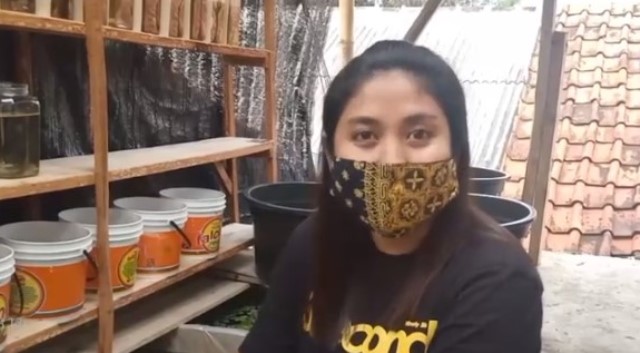 Perempuan muda ini sukses beternak ikan cupang di tengah pandemi. (Foto: Dok. Metrotvnews.com)