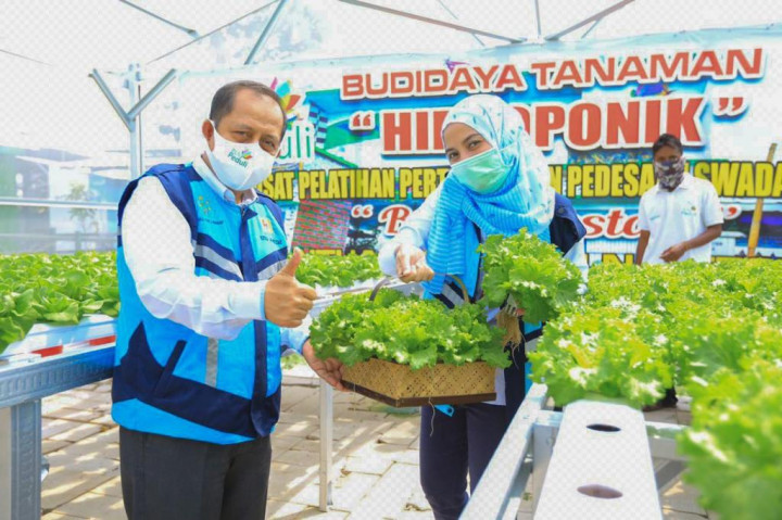 Pemanfaatan Lampu UV Terbukti Tingkatkan Produktivitas Tanaman Hidroponik