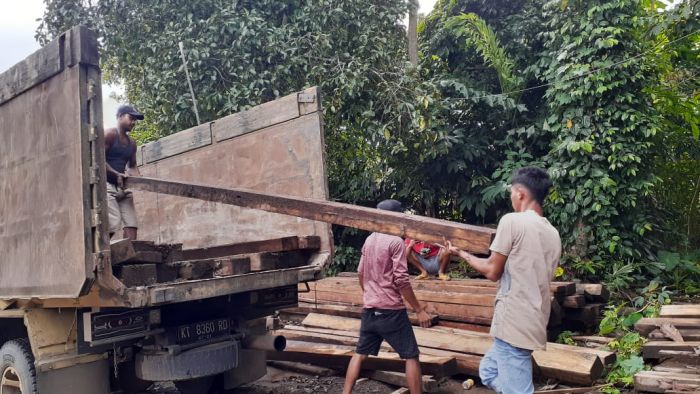 Pembalakan Liar di Pegunungan Meratus Kalsel Masih Marak