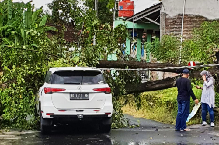 Penampakan Mobil Fortuner Milik Warga Sragen yang Ringsek Tertimpa Pohon di Klaten