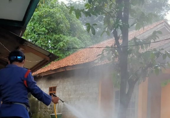 Warga Rawa Buntu Tangsel <i>Diserang</i> Kawanan Ulat Bulu