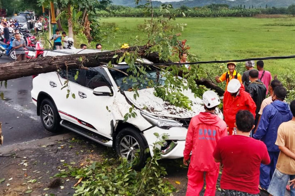 3 Foto Terpopuler: Sebuah Mobil Fortuner Ringsek Tertimpa Pohon hingga Kudeta Militer di Myanmar