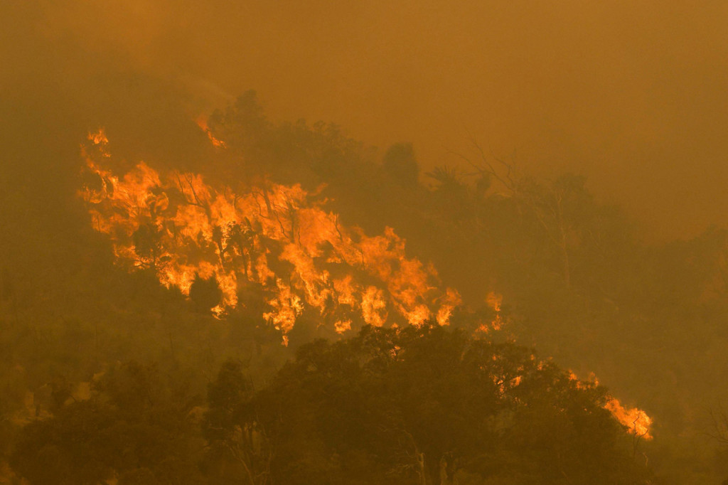 Kebakaran Hutan Hancurkan 30 Rumah di Australia Barat
