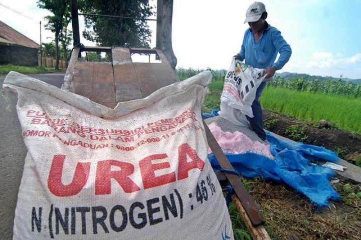 Jatim Dapat Tambahan Alokasi Pupuk Bersubsidi 454.864 Ton