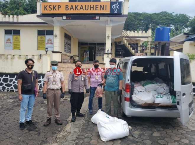 KSKP Bakauheni gagalkan penyelundupan daging celeng tanpa dokumen di pelabuhan Bakauheni. Lampost /dok Polres Lamsel