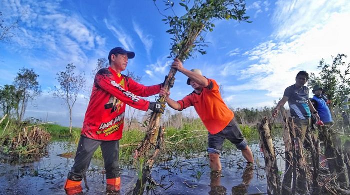 Puluhan Ribu Hektare Kawasan Mangrove di Kalsel Rusak