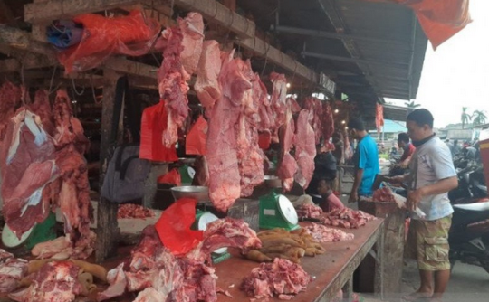 Kementan Impor 223 Ton Daging Sapi Penuhi Kebutuhan Ramadan dan Lebaran