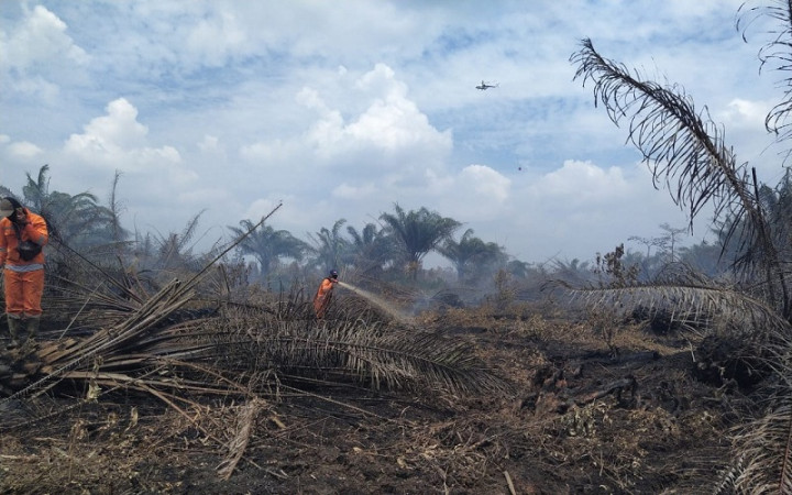 Maret, Sumsel Tetapkan Siaga Darurat Karhutla 2021