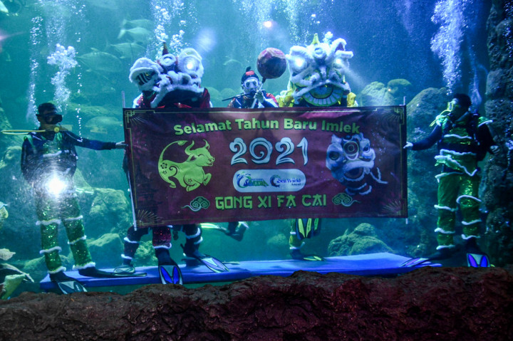 Atraksi Barongsai Dalam Air Meriahkan Perayaan Imlek di Sea World Ancol