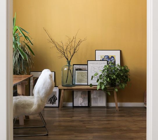 Warna Keberuntungan untuk Tahun Kerbau Logam 2021