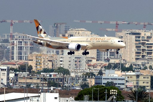 Pesawat Etihad Airways (JACK GUEZ / AFP)