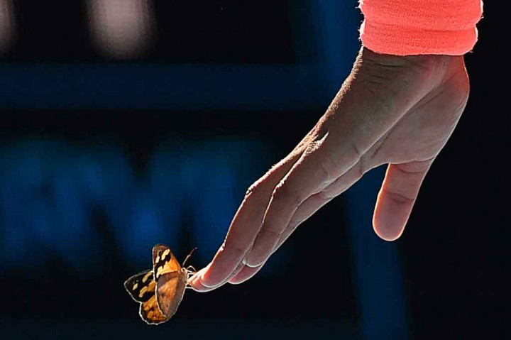 Saat Osaka 'Diganggu' Kupu-kupu di Laga Australia Open