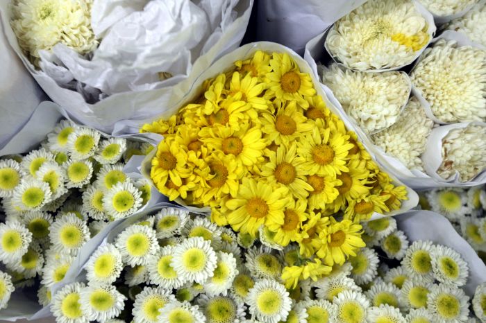 Imlek, Omzet Pedagang Bunga Rawa Belong Diklaim Meningkat Drastis