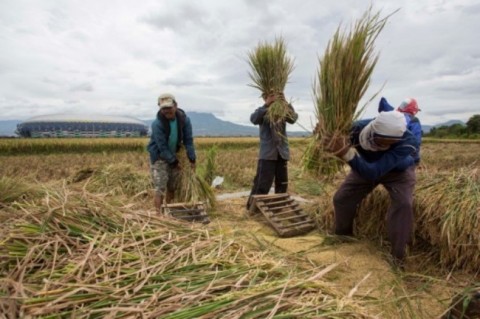 Pemerintah Targetkan Lumbung Pangan Baru hingga 5.000 Ha di Sumut