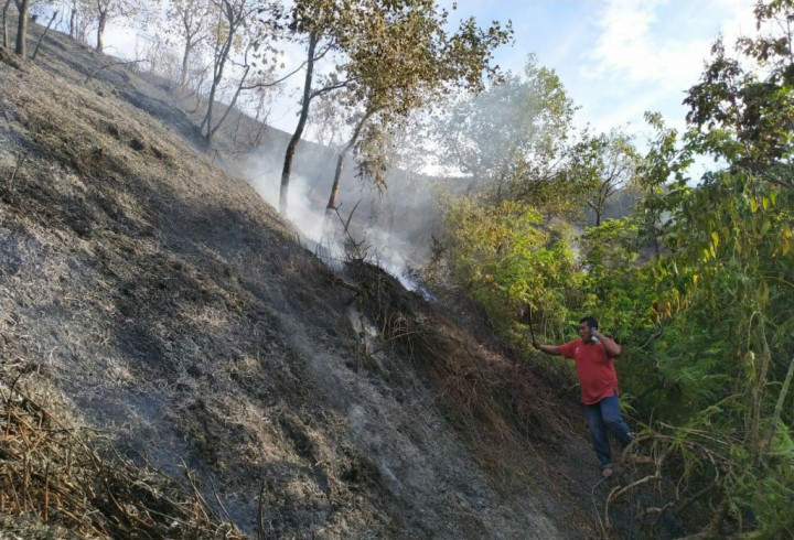 Disbun Kalbar Minta Perusahaan Perkebunan Waspada Karhutla