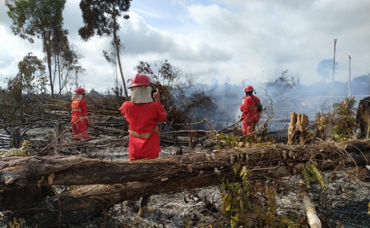 10 Kabupaten di Sumsel Rawan Karhutla
