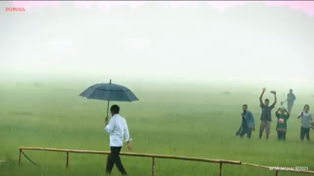 Istana Klarifikasi Video Jokowi Menerobos Hujan Tanpa Paspampres