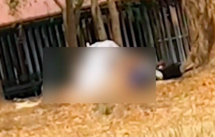 Berhubungan Seks di Taman Penuh Anak-anak, Pasutri Diselidiki