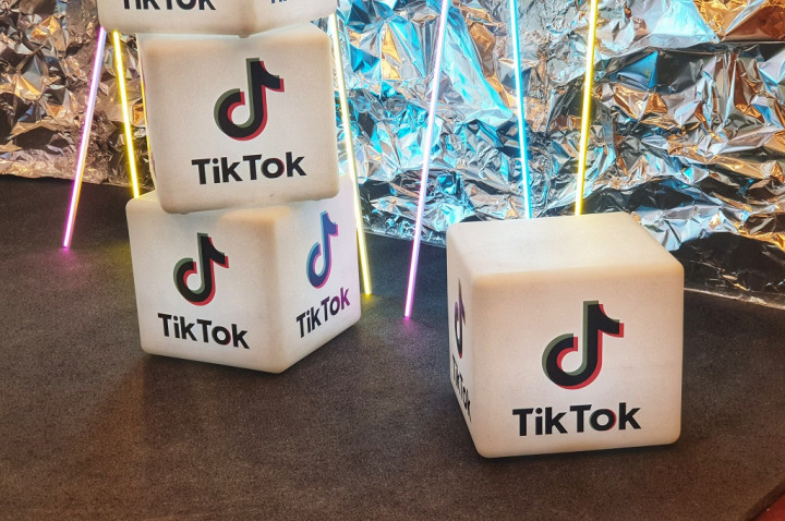 Menggiurkan! Berpolitiklah di TikTok