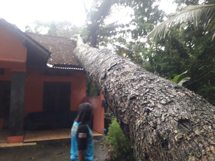 Hujan dengan Angin Kencang hingga Es Melanda Kabupaten Sleman