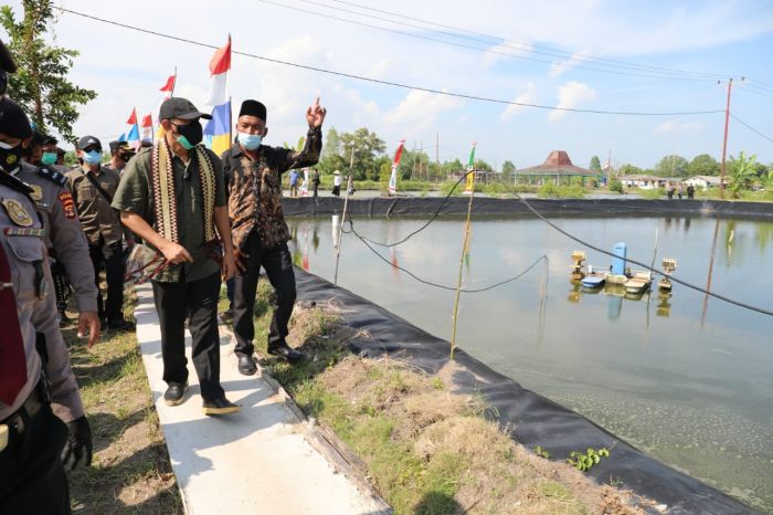 Teten Optimistis Bisa Kembalikan Kejayaan Tambak Udang Dipasena