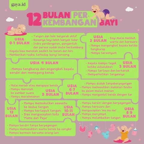12 Bulan Perkembangan Bayi