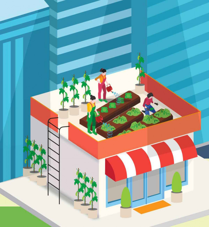 Urban Farming, Solusi Ketahanan Pangan di Perkotaan