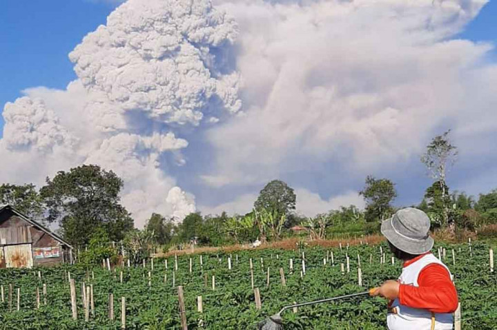 Gunung Sinabung Erupsi, Tinggi Kolom Abu Capai 5 Km