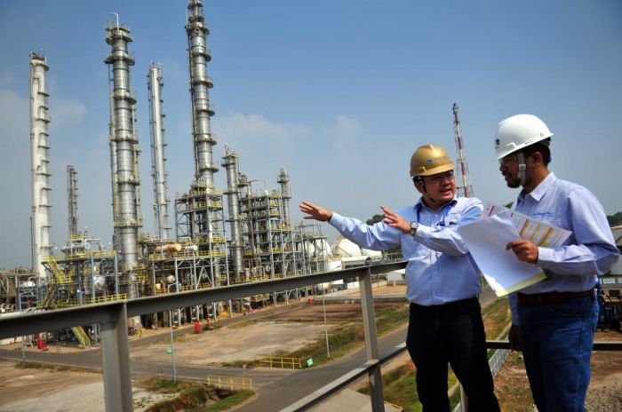 Chandra Asri Catat Laba Bersih USD51,5 Juta di 2020