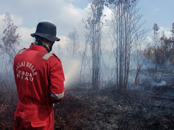 Lahan Gambut di Suaka Margasatwa Giam Siak Kecil Kebakaran