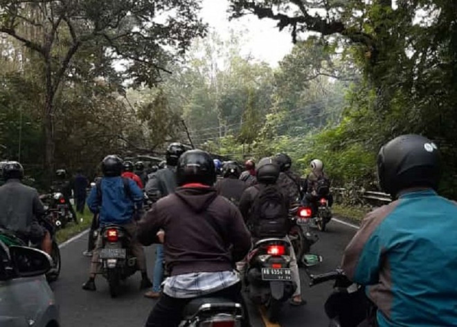 Kemacetan yang ditimbulkan akibat pohon setinggi 25 meter ambruk. Medcom.id/ahmad mustaqim