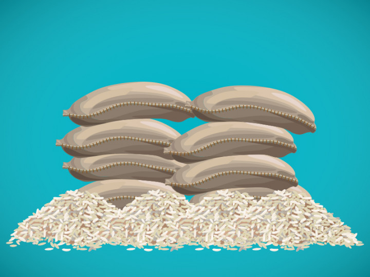 Wasted Food Feeds Climate Change: UN Environment Agency