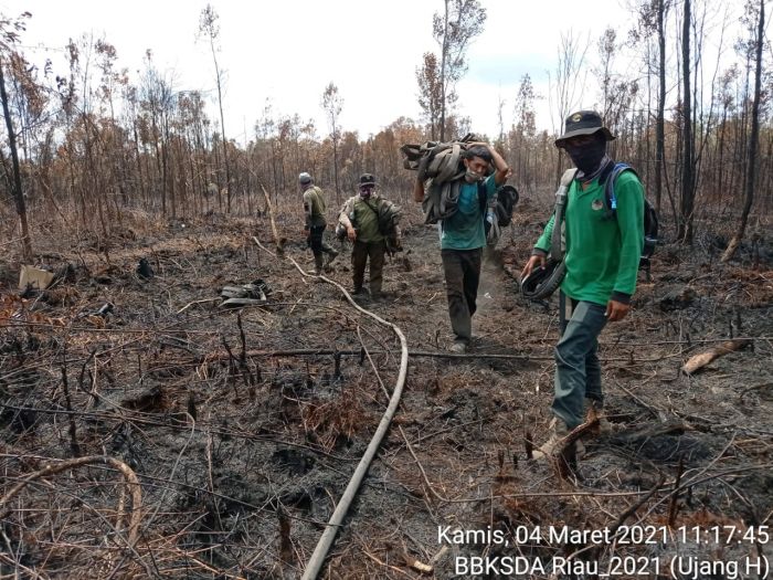 Hujan Deras Bantu Pemadaman Karhutla di Giam Siak Kecil Riau