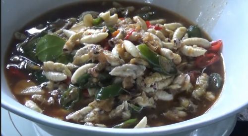 Tawon Vespa, Menu Ekstrem Keluarga Pemburu Lebah