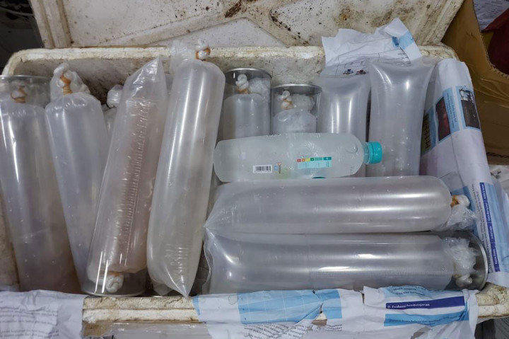 Mantab! Petugas Gagalkan Penyelundupan Benih Lobster Rp2,9 Miliar