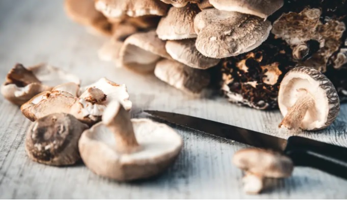 Jamur Shiitake (Foto: Insider)