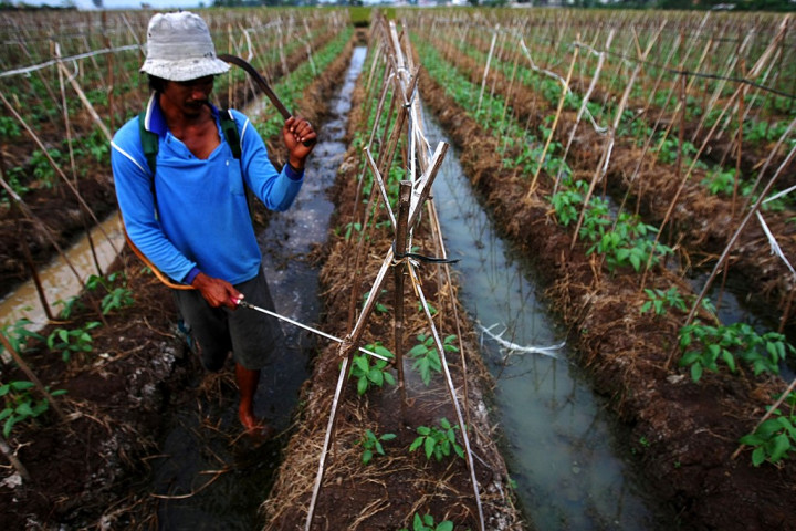 Kementan Sosialisasikan Pupuk Bersubsidi kepada Petani di Ngawi