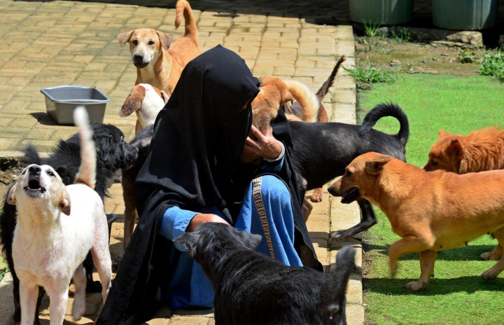 Potret Hesti Sutrisno, Wanita Bercadar Pemilik 70 Anjing Liar