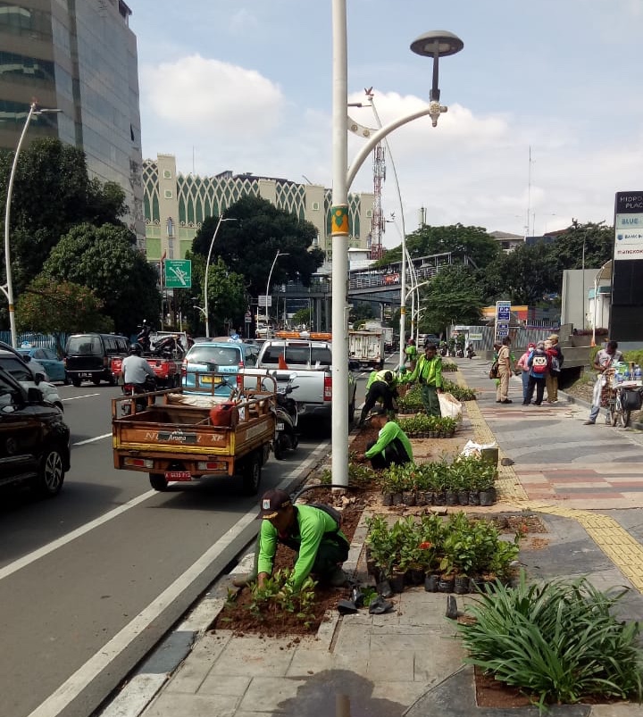Kurangi Polusi, 150 Ribu Tanaman Bakal Ditanam di Jalan Protokol
