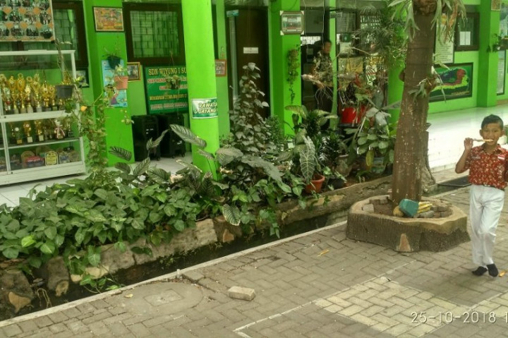 31 Sekolah di Surabaya Lolos Seleksi Calon Peserta Adiwiyata 2021