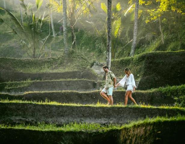 Wisata Terasiring (Foto Dok. Biro Komunikasi Publik Kemenparekraf)