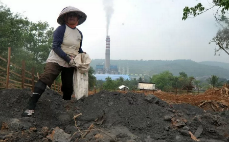 Indonesia Pasarkan Pupuk Batu Bara di Nigeria
