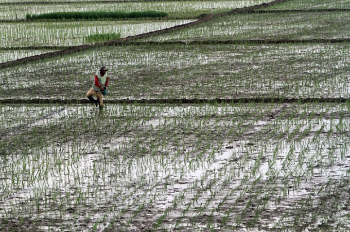 Bojonegoro Dinilai Sukses Bangun Jide, JUT, dan Irigasi Perpompaan Sepanjang 2020